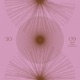 Feathers feat Sarah Kang Single