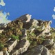Talk To feat ALLKNIGHT Single
