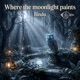 Where the moonlight paints