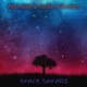 Space Safari feat Positive Vibrations Single