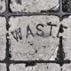 Waste Single