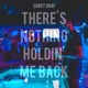 There s Nothing Holdin Me Back Acoustic Single