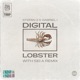 Digital Lobster Single