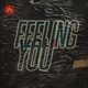 Feeling You feat Lee Triffon Single