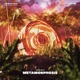 Metamorphosis Single