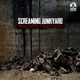 Pnr Digital 006 Screaming Junkyard Single