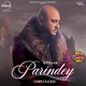 Parindey From Jatt Nuu Chudail Takri Unplugged Single