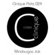 Clinique Picks 024 Single