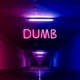 Dumb feat Rich Single