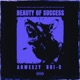 Beauty of Success Ghostly Echoes Mix EP