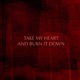 Take My Heart and Burn It Down Single
