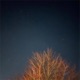 Yellow Springs Pt 1 Single