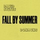Fall by Summer feat Donavns Single