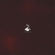 Falling Single