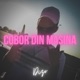 Cobor Din Masina Single