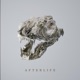 Afterlife Single