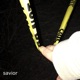 Savior Single