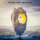 Open Portals Single
