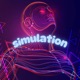 The Simulation Single