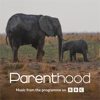 Go Steady From BBC s Parenthood - Sam Ryder mp3
