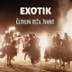 Červená ruža Ivanku Original Single