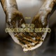 Gold Roosevelt Remix Single