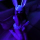 Altar of Ass feat H3artcrush slowed reverb Single