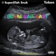 Boom Bap Baby feat Token Single