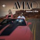 Avião Single