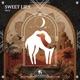 Sweet Lies Single