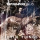 Little Things Single