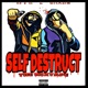 Self Destruct feat Mic Almg EP