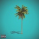 Beverly Hills Single
