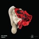 Phobia Single