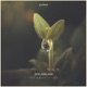 The Earth Cries Single