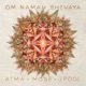 Om Namah Shivaya Single