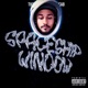 Spaceship Window