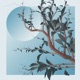 Branches Single