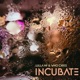 Incubate Single