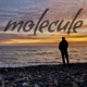 Molecule Single