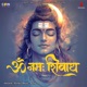 Om Namah Shivay Single