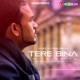 Tere Bina feat Pav Dharia Single