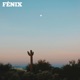 FÉNIX feat WonkyBeatsinDaHouse Single