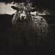 Black Sheep II Single