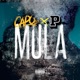 Mula Single