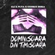 Domnisoara Din Timisoara Single