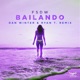 Bailando Dan Winter Ryan T Remix Remixes Single