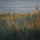 Sesiones del Viento EP