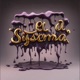 El Sistema Single