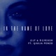 In the Name of Love feat Gulia Penzo Single